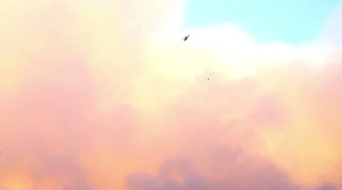 Helicopter Fighting Forest Fire Stock Footage 41832319