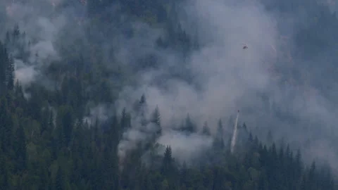 Helicopter fighting forest fire Stock Footage 240404859