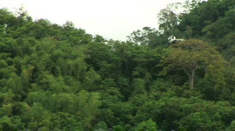 Helicopter flies along mountain Stock Footage 519980