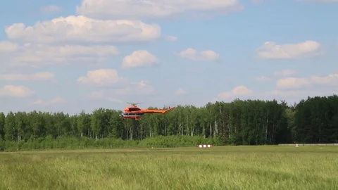 The helicopter flies low over the field. The video was taken off the ground. Stock Footage 81528860