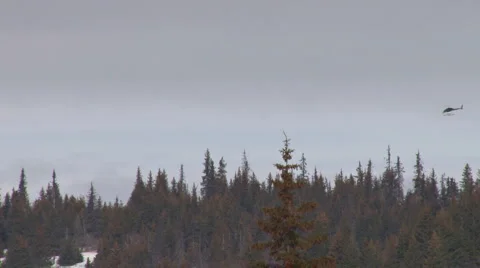 Helicopter flies over forest Stock Footage 2205563