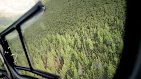 The Helicopter Flies Over the Lush Forest Landscape, Providing Essential Video stock 333343650