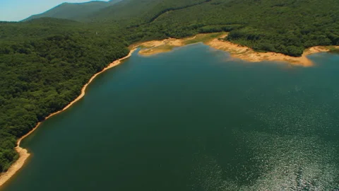 Helicopter flies over a section of the sea and the coast with dense green forest Stock Footage 92201835