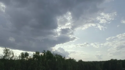 The helicopter flies over the treetops overlooking the evening cloudy sky Stock Footage 113517443