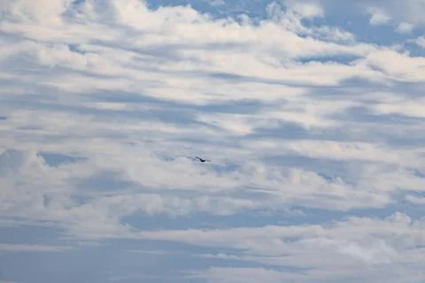A helicopter flies through a cloudy sky Stock Photos