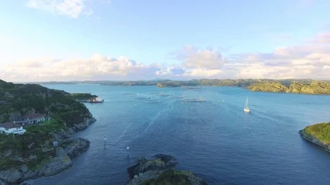 Helicopter flight over the natural fish farm in the middle of the sea, aerial Stock Footage 79863559