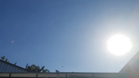Helicopter Flying above Building Stock Footage 337228442