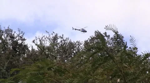 Helicopter  Flying 库存影片 30015397
