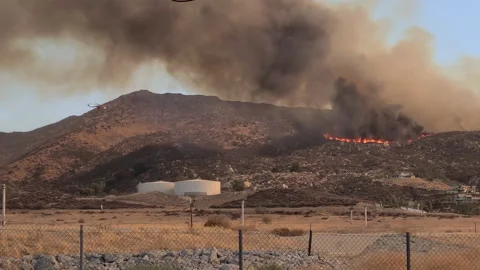 Helicopter flying over the flames of a forrest fire Stock Footage 225419838