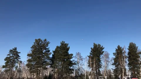 Helicopter is flying over the forest Stock Footage 124899258