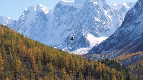 Helicopter flying over mountain forest with snow capped peaks in background Stock Footage 290448459