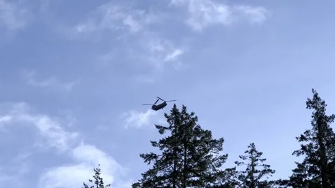Helicopter flying over trees in blue sky Stock Footage 336876783