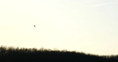 Helicopter flying over trees during sunset medium shot Stock Footage 234855523