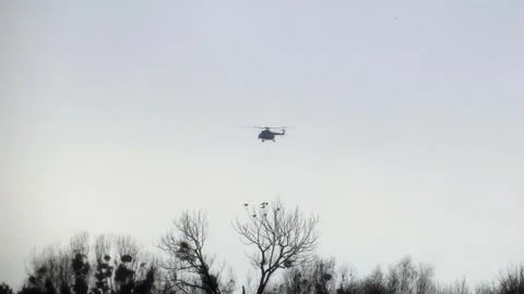 Helicopter Flying over Trees Foto stock