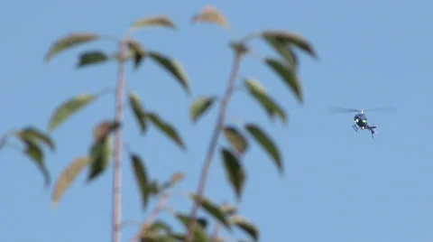 Helicopter Flying Overhead with Tree Stock Footage 56239509
