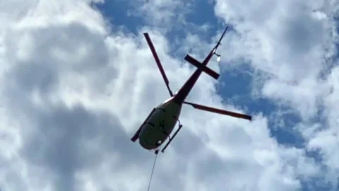 Helicopter Flying with Plants 動画素材 115766555