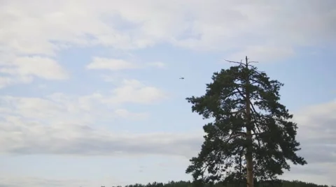 Helicopter flying in sky over forest Stock Footage