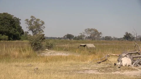 Helicopter flying though wilderness - Robinson R44 Video stock 85538210