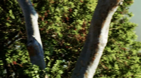 Helicopter flying through sky 3 Stock-Footage 54642391