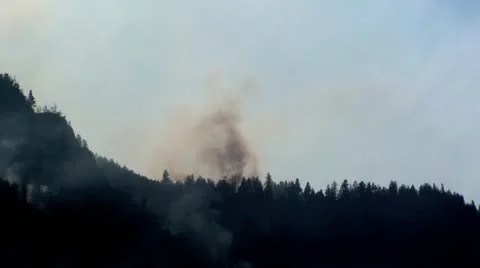 Helicopter Forest Firefighting Vidéo 12746509