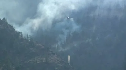 Helicopter Forest Firefighting Video stock 12746765