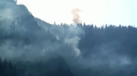Helicopter Forest Firefighting Stock Footage 12746780