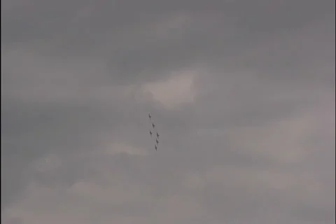 Helicopter formation - nat sound Stock Footage 1060554