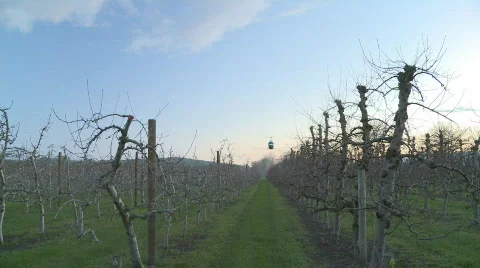 Helicopter front on flyover Stock Footage 842988