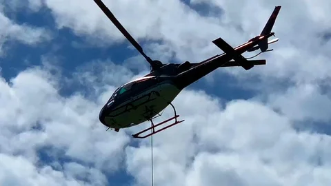 Helicopter with Hanging Tree on Steel Cable Flying Against Blue Sky and Clouds Stock Footage 115881373