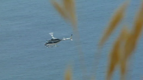 Helicopter from hiding Video stock 604524