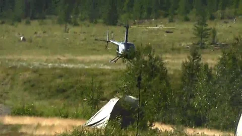 Helicopter landed in glade Stock Footage
