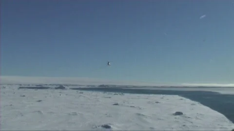 Helicopter landing Stock Footage 603201