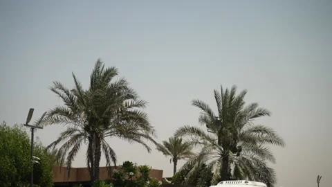 Helicopter is landing Stock Footage 172132295