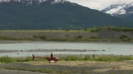 Helicopter Lands In Alaskan Wilderness Stock Footage