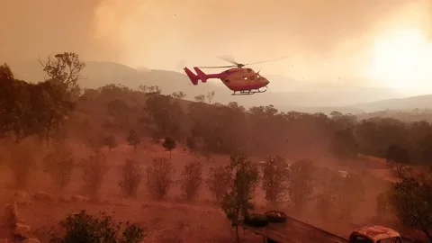 Helicopter Lands In Field In Front of Bushfire Stock Footage 195281268