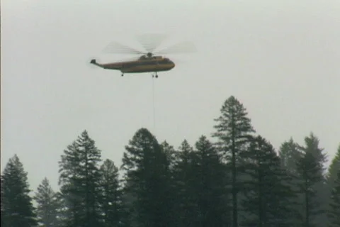 Helicopter logging 01 Stock Footage 492015