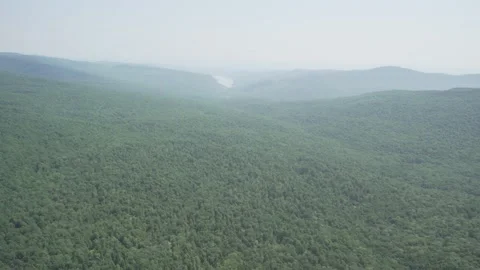 Helicopter over forest Stockbeeldmateriaal 171590862