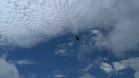 Helicopter over Miami Beach Stock Footage 234359711
