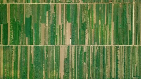 Helicopter pattern abstract agricultural green field plantation Vietnam farming  Stock Footage 107030671