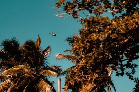 Helicopter Stock Photos