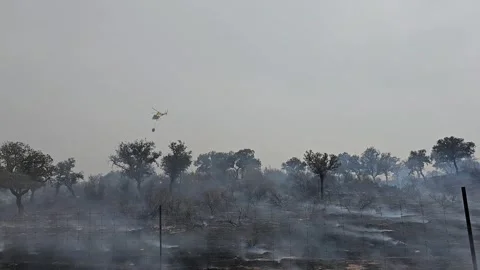 Helicopter putting out fire Stock Footage 330925576