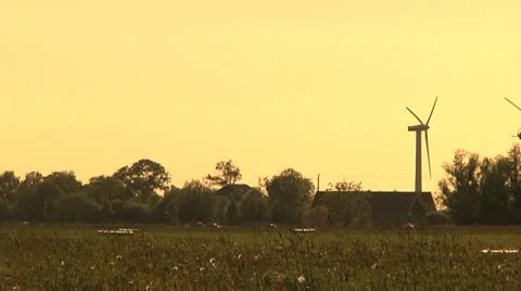 Helicopter - Slowmotion - Really Cool Flyover 動画素材 8918232