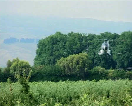 Helicopter spraying apple trees Stock Footage 135537
