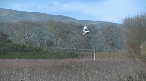 Helicopter spraying an orchard Stock Footage 836805