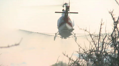 Helicopter spraying orchard Stock Footage 842967