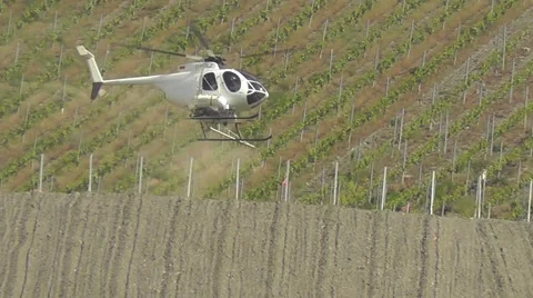 Helicopter spraying vineyard Stock-Footage 55010455