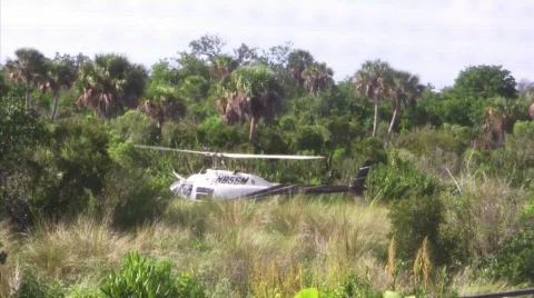 Helicopter swamp takeoff Video stock 697123