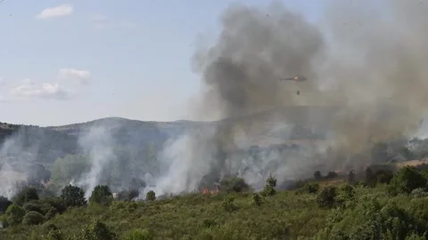 Helicopter tackles forest fire in mountainous area during daytime Stock Footage 313017127