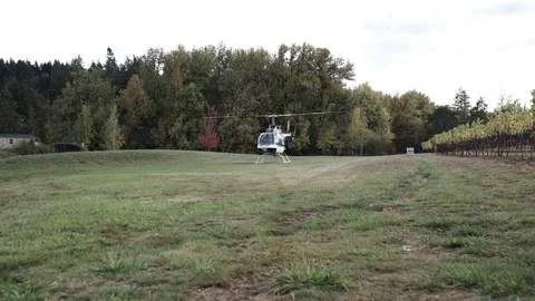 Helicopter taking off from grassy field next to vineyards in Oregon countryside Stock Footage 104457078