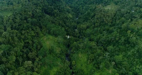 Helicopter tracking.mp4 Stock Footage 116773285